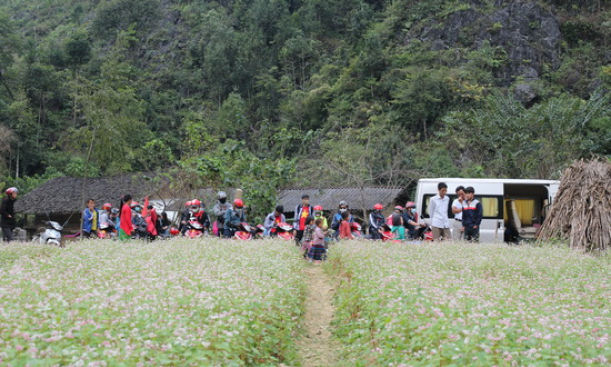 Nhiều tour hấp dẫn trong m&ugrave;a đ&ocirc;ng 2015