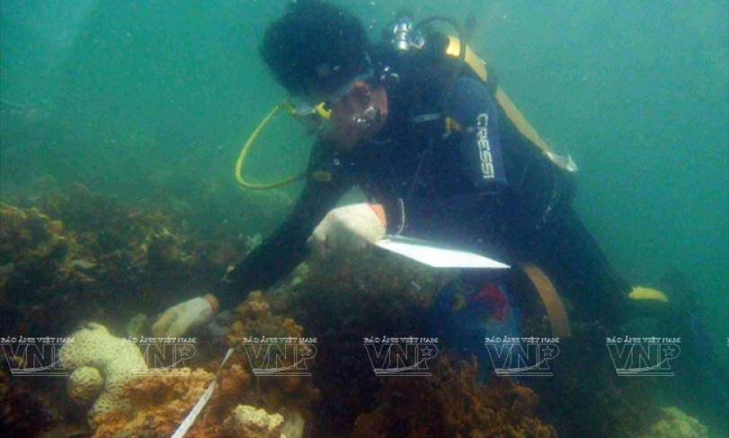 C&aacute;t B&agrave; &ndash; Chuỗi &ldquo;ngọc xanh&rdquo; giữa biển khơi.