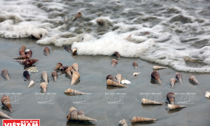 B&atilde;i biển nơi địa đầu tổ quốc.