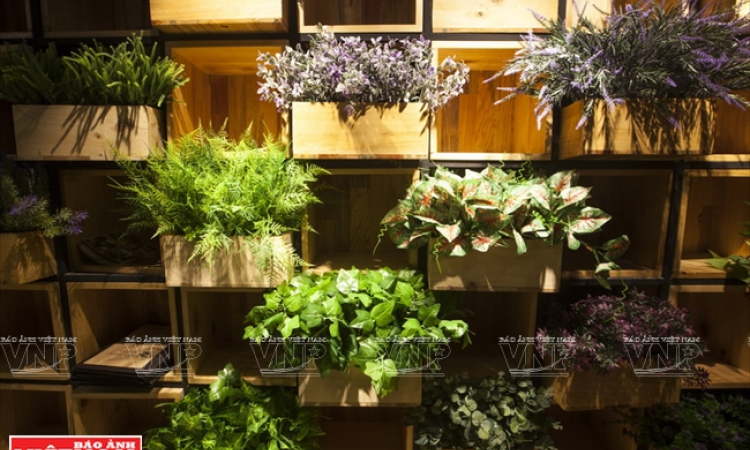 Biển trong l&ograve;ng phố.