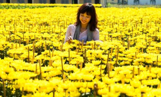 Nhiều tour mới dịp Tết nguy&ecirc;n đ&aacute;n 2016