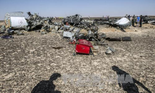 C&aacute;c ph&ograve;ng nghỉ hạng sang ở đảo C&aacute;t B&agrave; đều k&iacute;n chỗ dịp gi&aacute;p Tết