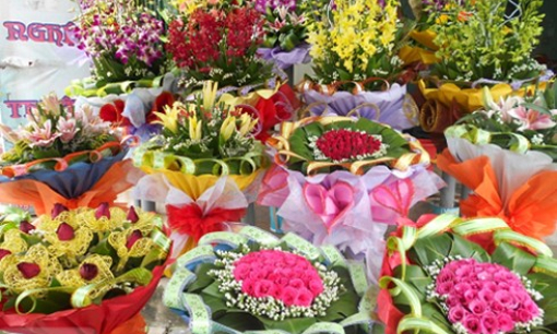 Ki&ecirc;n Giang đ&oacute;n bằng c&ocirc;ng nhận khu Ramsar Vườn quốc gia U Minh Thượng