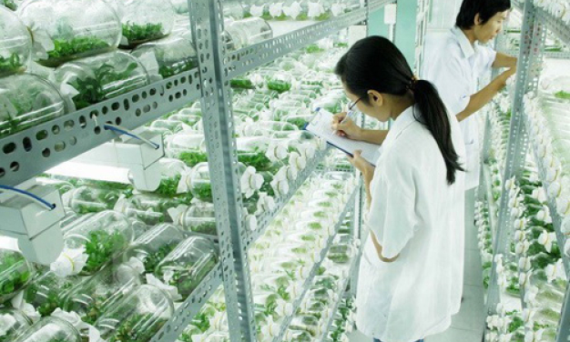 TPHCM cơ cấu ứng cử đại biểu Quốc hội: Cần tăng chuy&ecirc;n tr&aacute;ch