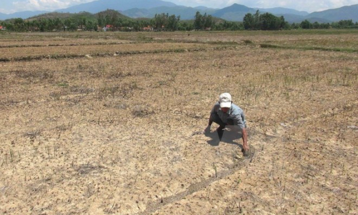 6 tỉnh được hỗ trợ hơn 85 tỷ đồng khắc phục hạn h&aacute;n, x&acirc;m nhập mặn