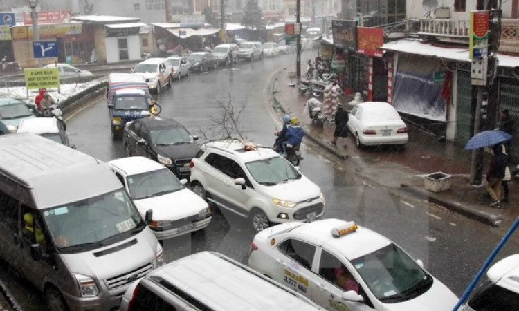 Du lịch cắm trại h&uacute;t kh&aacute;ch đến B&igrave;nh Thuận