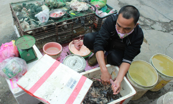 Ch&iacute;nh thức khởi c&ocirc;ng Quần thể du lịch nghỉ dưỡng FLC Hạ Long