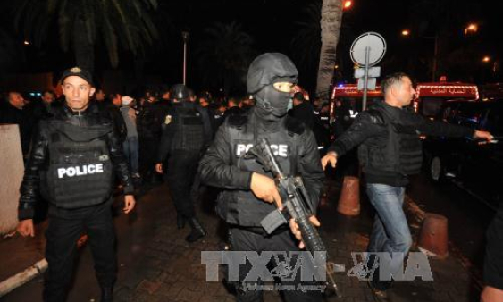 Khai mạc Ng&agrave;y hội du lịch TP Hồ Ch&iacute; Minh