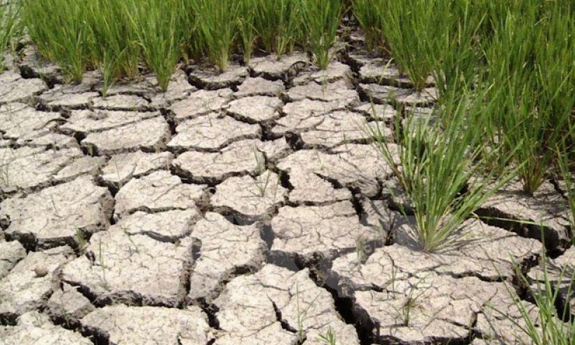 Việt Nam k&ecirc;u gọi quốc tế hỗ trợ nh&acirc;n đạo ứng ph&oacute; với hạn, mặn lịch sử