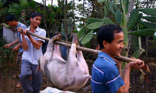 BCĐ ph&ograve;ng chống tham nhũng sẽ cho &yacute; kiến về kết quả xử 8 vụ đại &aacute;n