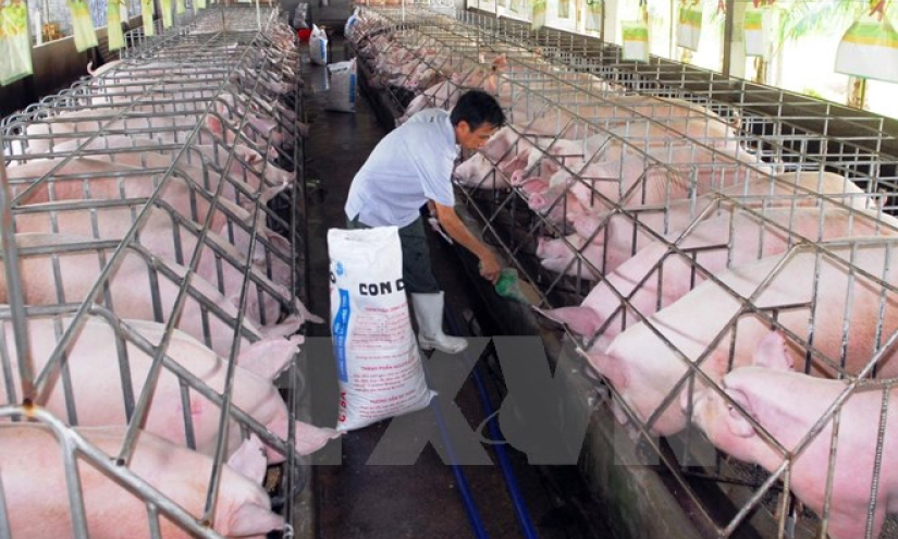 Thực hiện phong tr&agrave;o to&agrave;n d&acirc;n n&oacute;i kh&ocirc;ng với chất cấm trong chăn nu&ocirc;i