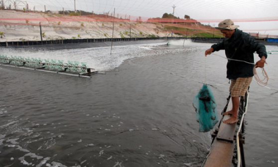 Lễ hội du lịch m&ugrave;a h&egrave; Sa Pa 2016