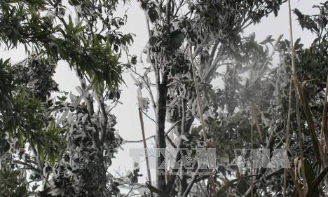 V&igrave; sao Tổng thống Barack Obama chọn kh&aacute;ch sạn JW Marriott Hanoi?