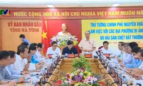 Vụ c&aacute; chết bất thường: Ch&iacute;nh phủ kh&ocirc;ng bao che v&agrave; ki&ecirc;n quyết xử l&yacute; tr&aacute;ch nhiệm c&oacute; li&ecirc;n quan