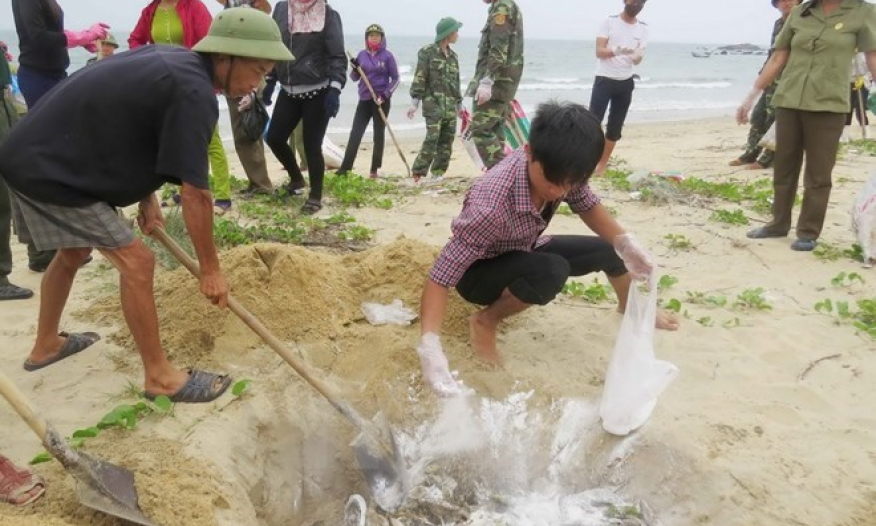 Thủ tướng y&ecirc;u cầu r&agrave; so&aacute;t c&aacute;c cơ sở xả thải ra biển sau vụ c&aacute; chết