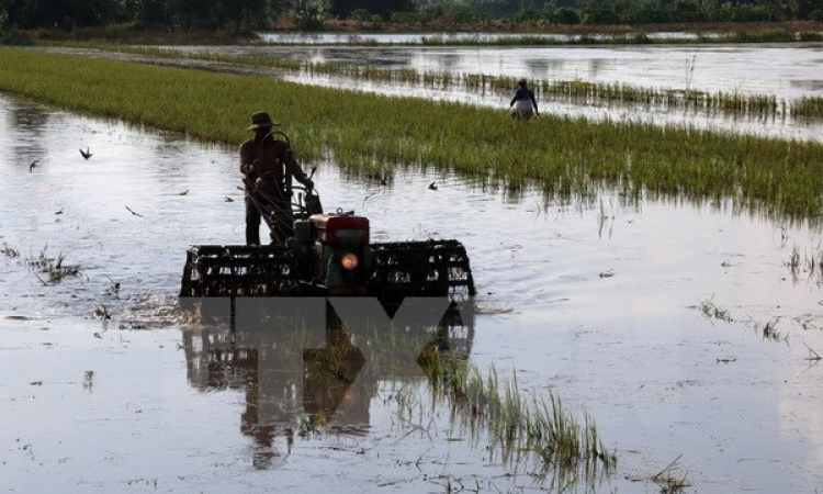 Ph&oacute; Thủ tướng Vương Đ&igrave;nh Huệ l&agrave;m việc với l&atilde;nh đạo tỉnh Nghệ An