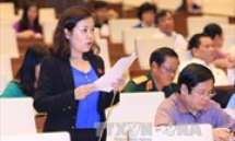 Chủ tịch nước Trần Đại Quang tiếp Đại sứ đặc biệt Việt Nam – Nhật Bản