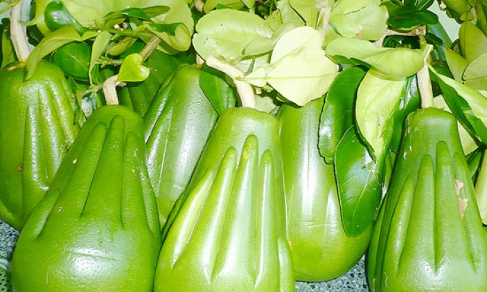 Tổ chức trọng thể Lễ tang đồng ch&iacute; Ho&agrave;ng Anh