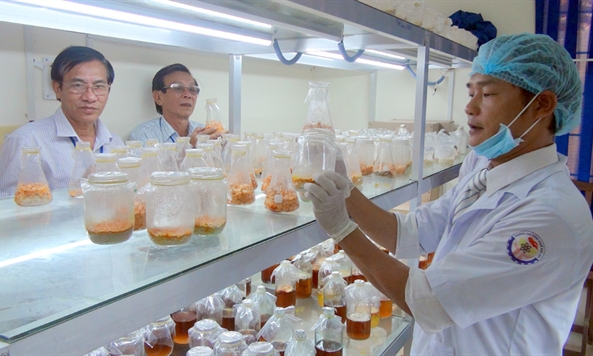 Đắk Lắk: Tất cả cử tri Trung đo&agrave;n Bộ binh 95 đi bầu cử sớm