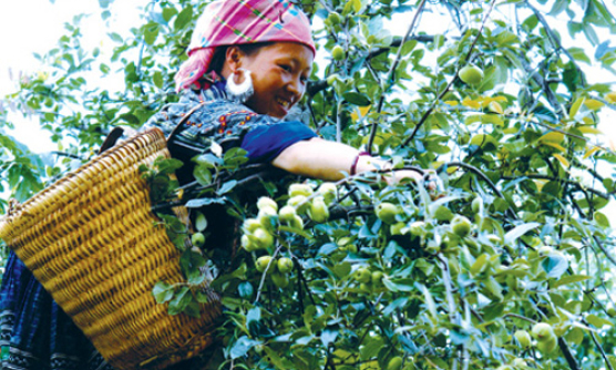 Cần Thơ sẽ bầu bổ sung 2 đại biểu Quốc hội v&agrave;o ng&agrave;y 29/5