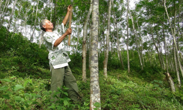 Thủ tướng chỉ đạo kh&ocirc;ng tăng gi&aacute; điện, kh&ocirc;ng tăng ph&iacute; BOT