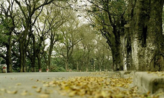 Ph&oacute; Thủ tướng Phạm B&igrave;nh Minh l&agrave;m Trưởng ban chỉ đạo về ODA