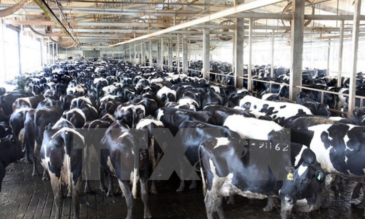 Hậu Giang đang x&eacute;t đơn của &ocirc;ng Trịnh Xu&acirc;n Thanh