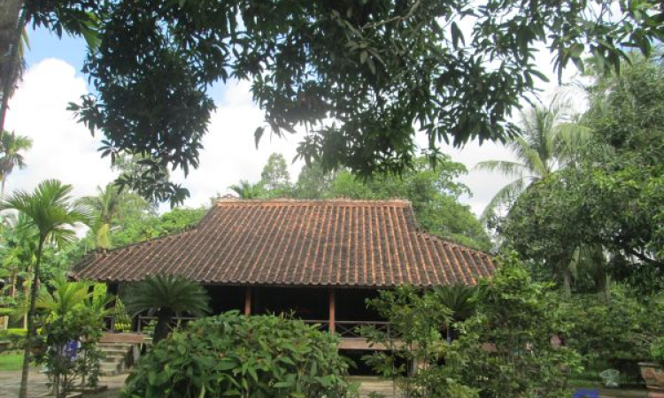 Một ng&agrave;y nơi c&ugrave; lao &Ocirc;ng Hổ