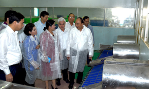 Thủ tướng Ch&iacute;nh phủ thăm m&ocirc; h&igrave;nh du lịch sinh th&aacute;i tại B&igrave;nh Phước