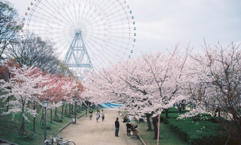 10 điểm du lịch &ldquo;trong mơ&rdquo; gi&aacute; rẻ cho năm 2017