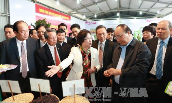 Sẽ c&oacute; g&oacute;i t&iacute;n dụng ưu đ&atilde;i khoảng 100.000 tỷ đồng cho n&ocirc;ng nghiệp c&ocirc;ng nghệ cao