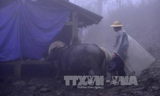 Sa Pa r&eacute;t s&acirc;u 8,7 độ C, đợt r&eacute;t c&ograve;n k&eacute;o d&agrave;i 5 – 6