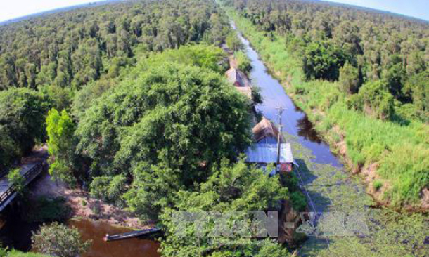 Nguy cơ ch&aacute;y Vườn quốc gia U Minh Hạ, C&agrave; Mau v&agrave;o m&ugrave;a kh&ocirc;