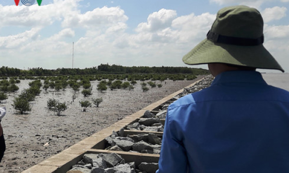 Cần chiến lược d&agrave;i hạn chống sạt lở ven biển v&ugrave;ng ĐBSCL