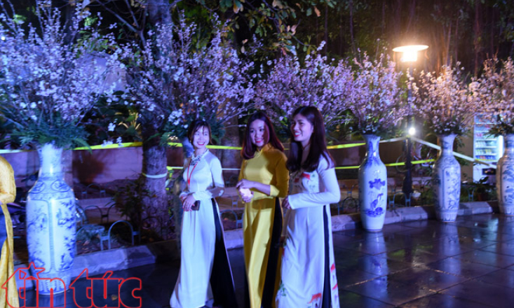 Tưng bừng đ&ecirc;m khai mạc giao lưu văn h&oacute;a Nhật Bản v&agrave; triển l&atilde;m hoa anh đ&agrave;o