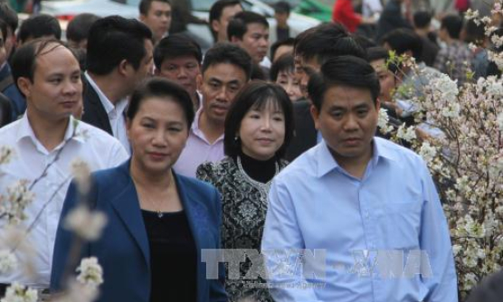 Chủ tịch Quốc hội tham quan triển l&atilde;m hoa anh đ&agrave;o tại H&agrave; Nội