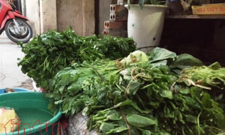 Ph&acirc;n biệt rau hữu cơ v&agrave; rau thường bằng c&aacute;ch n&agrave;o?