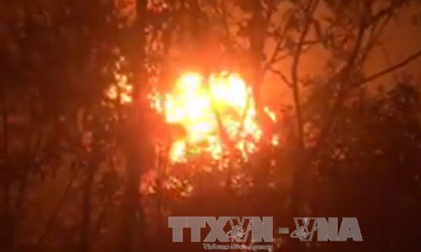 Đồng Nai: Ch&aacute;y nổ lớn tại xưởng t&aacute;i chế dầu nhớt thải, lửa lan ra khu rừng tr&agrave;m