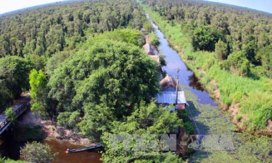 Di dời 220 th&ugrave;ng ‘ong lạ’ ra khỏi v&ugrave;ng đệm Vườn quốc gia U Minh Hạ