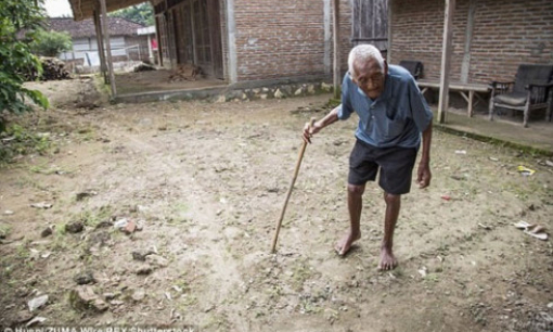 Cụ &ocirc;ng gi&agrave; nhất thế giới đ&atilde; qua đời ở tuổi 146