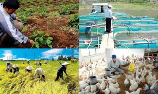 V&igrave; sao doanh nghiệp FDI chưa đầu tư nhiều v&agrave;o n&ocirc;ng nghiệp Việt Nam?