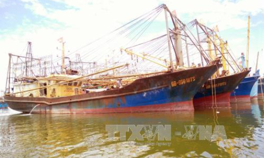 Bộ NN&PTNT b&aacute;o c&aacute;o Ch&iacute;nh phủ về chất lượng t&agrave;u c&aacute; vỏ th&eacute;p