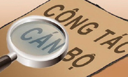 Bộ Nội vụ tăng cường kiểm tra việc tuyển dụng, bổ nhiệm c&aacute;n bộ