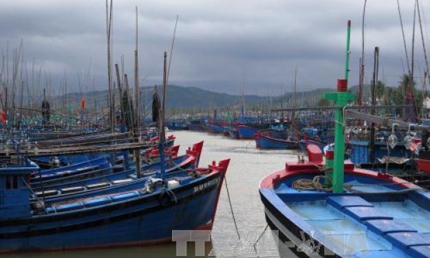 Họp khẩn ứng ph&oacute; với &aacute;p thấp nhiệt đới khả năng mạnh l&ecirc;n th&agrave;nh b&atilde;o