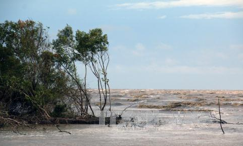 Tăng cường năng lực chống chịu biến đổi kh&iacute; hậu