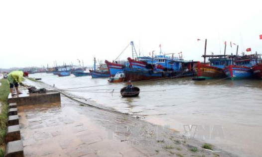 Hơn 400 t&agrave;u thuyền của Quảng Trị đ&atilde; v&agrave;o khu neo đậu an to&agrave;n để tr&aacute;nh bảo