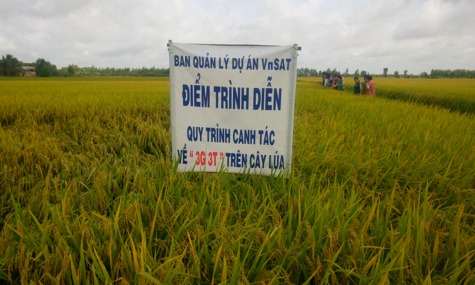 Kiến Tường: m&ocirc; h&igrave;nh c&aacute;nh đồng &ldquo;3 giảm 3 tăng&rdquo;