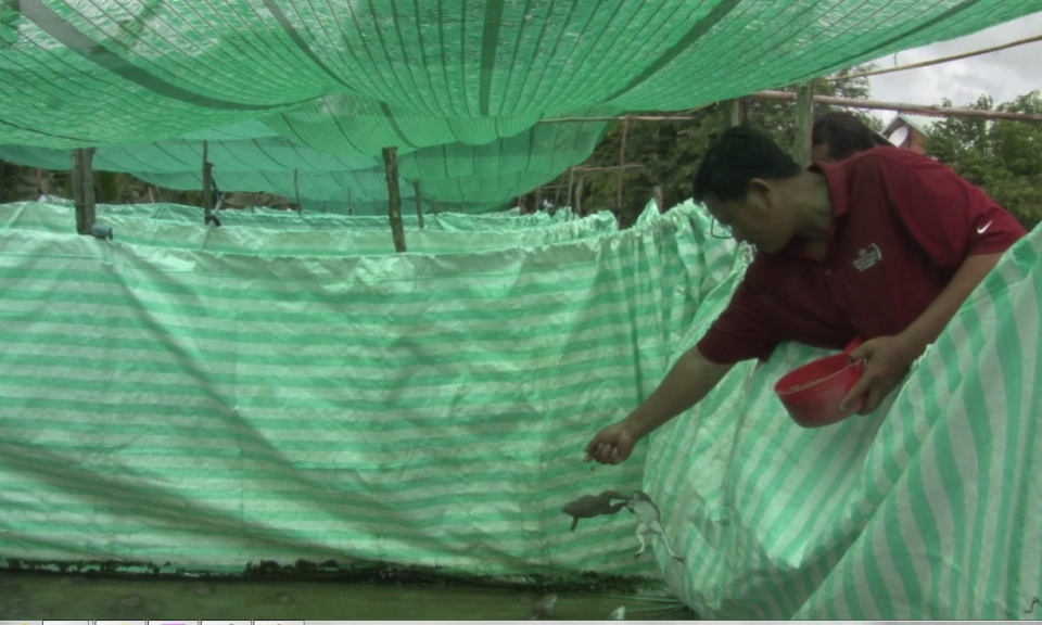 Kiến Tường kh&ocirc;i phục nu&ocirc;i thủy sản nước ngọt