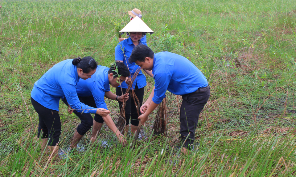 Mộc H&oacute;a : Ra qu&acirc;n thực hiện c&ocirc;ng tr&igrave;nh &ldquo;C&aacute;nh đồng thanh ni&ecirc;n&rdquo;