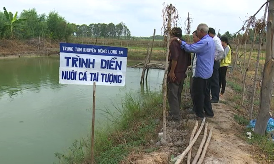 Hội thảo tham quan m&ocirc; h&igrave;nh nu&ocirc;i c&aacute; tai tượng